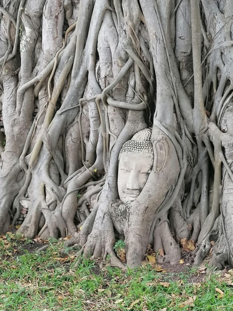 Bangkok to Ayutthaya by Train: A One-Day Trip GuideBangkok to Ayutthaya by Train: A One-Day Trip Guide